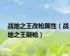 战地之王改枪属性（战地之王刷枪）