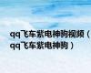 qq飞车紫电神驹视频（qq飞车紫电神驹）