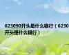 623090开头是什么银行（6230开头是什么银行）