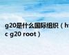 g20是什么国际组织（htc g20 root）