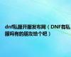 dnf私服开服发布网（DNF有私服吗有的朋友给个吧）
