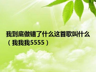 我到底做错了什么这首歌叫什么（我我我5555）