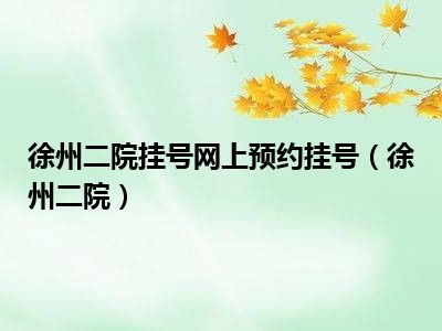 徐州二院挂号网上预约挂号（徐州二院）