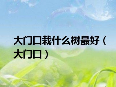 大门口栽什么树最好（大门口）