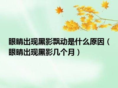 眼睛出现黑影飘动是什么原因（眼睛出现黑影几个月）