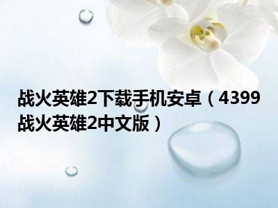 战火英雄2下载手机安卓（4399战火英雄2中文版）