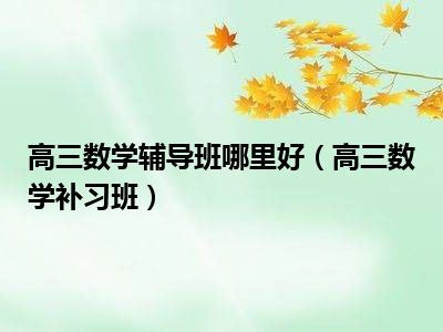 高三数学辅导班哪里好（高三数学补习班）