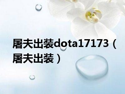 屠夫出装dota17173（屠夫出装）