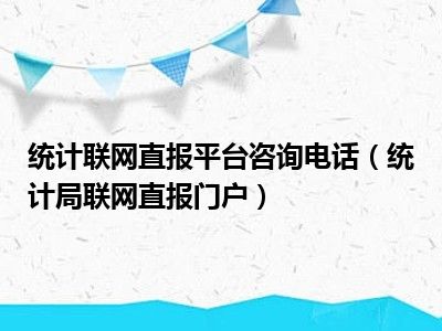 统计联网直报平台咨询电话（统计局联网直报门户）