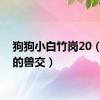 狗狗小白竹岗20（小芬的兽交）