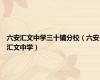 六安汇文中学三十铺分校（六安汇文中学）
