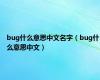 bug什么意思中文名字（bug什么意思中文）