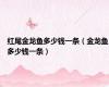 红尾金龙鱼多少钱一条（金龙鱼多少钱一条）