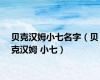 贝克汉姆小七名字（贝克汉姆 小七）