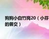 狗狗小白竹岗20（小芬的兽交）