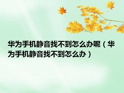 华为手机静音找不到怎么办呢（华为手机静音找不到怎么办）