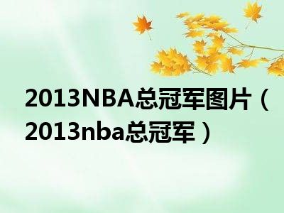 2013NBA总冠军图片（2013nba总冠军）