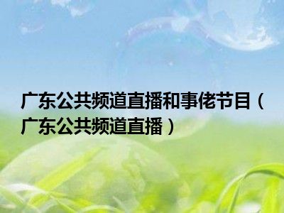 广东公共频道直播和事佬节目（广东公共频道直播）