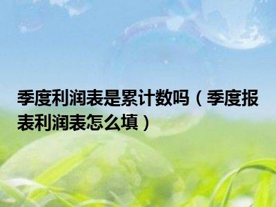 季度利润表是累计数吗（季度报表利润表怎么填）