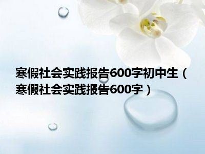 寒假社会实践报告600字初中生（寒假社会实践报告600字）