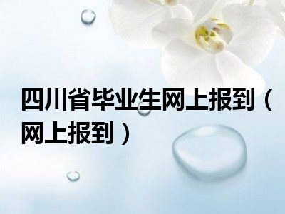 四川省毕业生网上报到（网上报到）