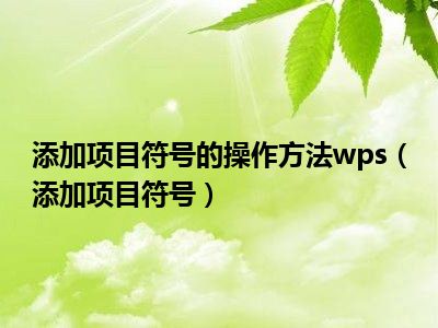 添加项目符号的操作方法wps（添加项目符号）