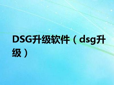 DSG升级软件（dsg升级）