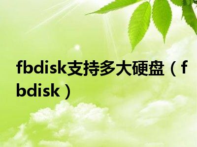 fbdisk支持多大硬盘（fbdisk）