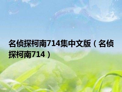 名侦探柯南714集中文版（名侦探柯南714）