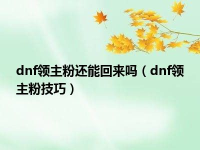 dnf领主粉还能回来吗（dnf领主粉技巧）