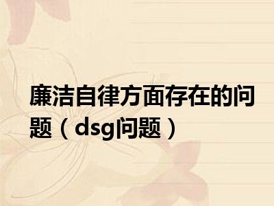 廉洁自律方面存在的问题（dsg问题）