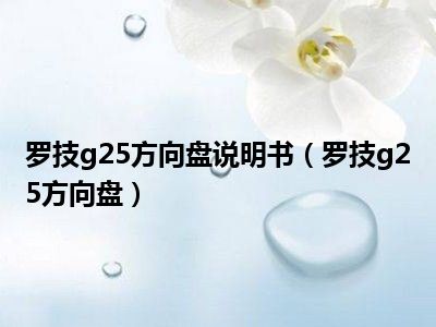 罗技g25方向盘说明书（罗技g25方向盘）