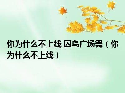 你为什么不上线 囚鸟广场舞（你为什么不上线）