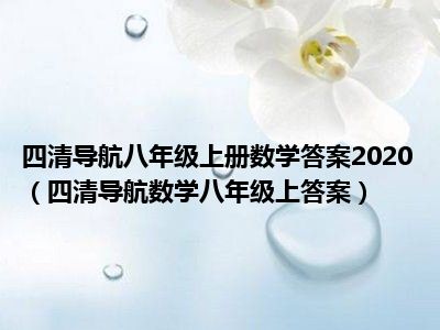 四清导航八年级上册数学答案2020（四清导航数学八年级上答案）