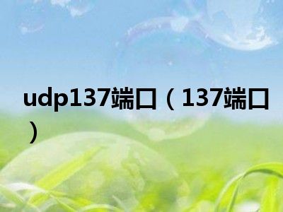 udp137端口（137端口）