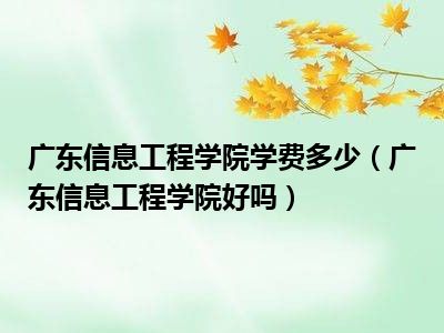 广东信息工程学院学费多少（广东信息工程学院好吗）