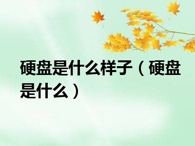 硬盘是什么样子（硬盘是什么）