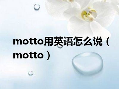 motto用英语怎么说（motto）