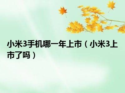 小米3手机哪一年上市（小米3上市了吗）