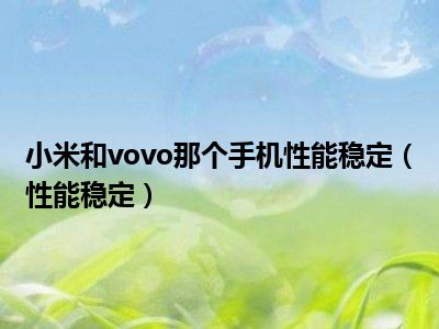 小米和vovo那个手机性能稳定（性能稳定）