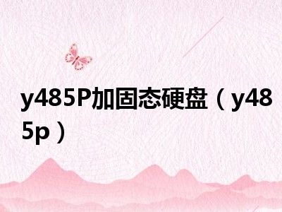 y485P加固态硬盘（y485p）