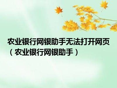 农业银行网银助手无法打开网页（农业银行网银助手）