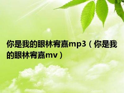 你是我的眼林宥嘉mp3（你是我的眼林宥嘉mv）