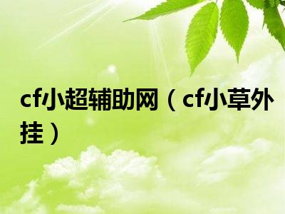 cf小超辅助网（cf小草外挂）