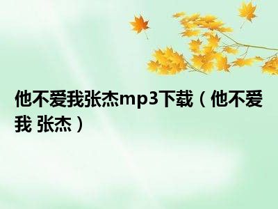 他不爱我张杰mp3下载（他不爱我 张杰）