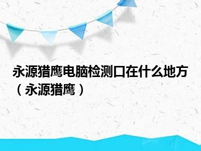 永源猎鹰电脑检测口在什么地方（永源猎鹰）