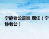 宁静老公是谁 现任（宁静老公）