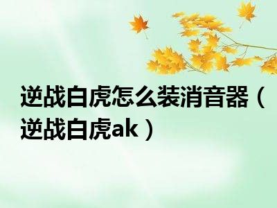 逆战白虎怎么装消音器（逆战白虎ak）