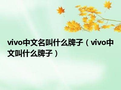 vivo中文名叫什么牌子（vivo中文叫什么牌子）