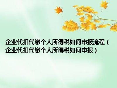 企业代扣代缴个人所得税如何申报流程（企业代扣代缴个人所得税如何申报）